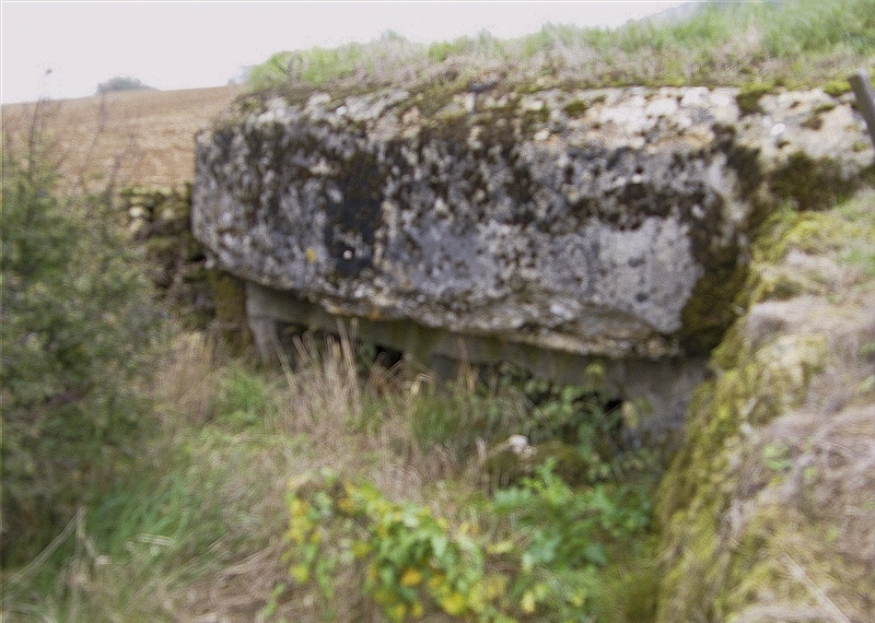 Ligne Maginot - 57BIS - FONTENELLE OUEST - (Blockhaus pour arme infanterie) - 