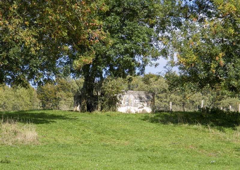 Ligne Maginot - 77 - LES LONGUES ROYES - (Blockhaus pour arme infanterie) - 