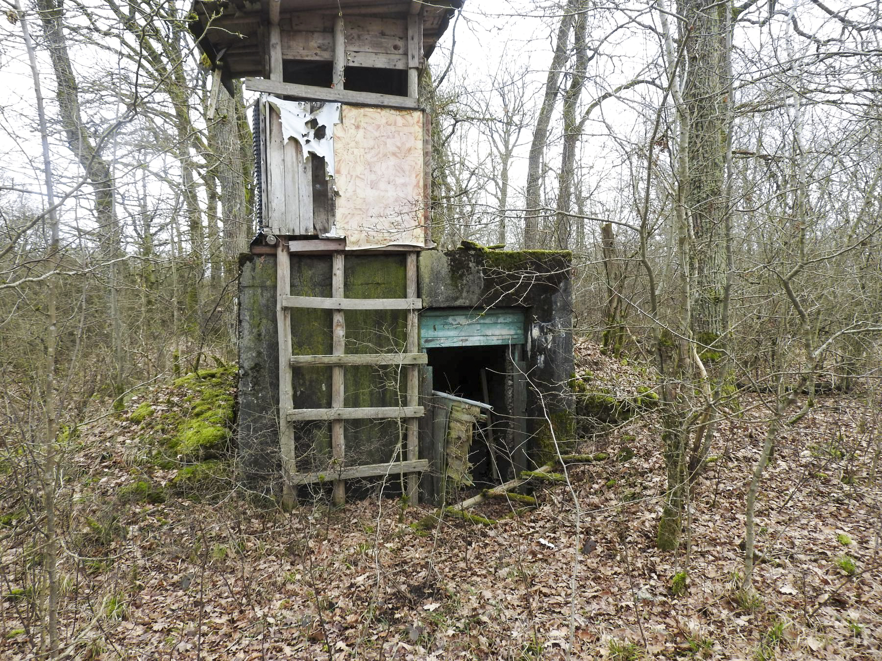 Ligne Maginot - SCHEIDE 3 - (Abri) - L'entrée.