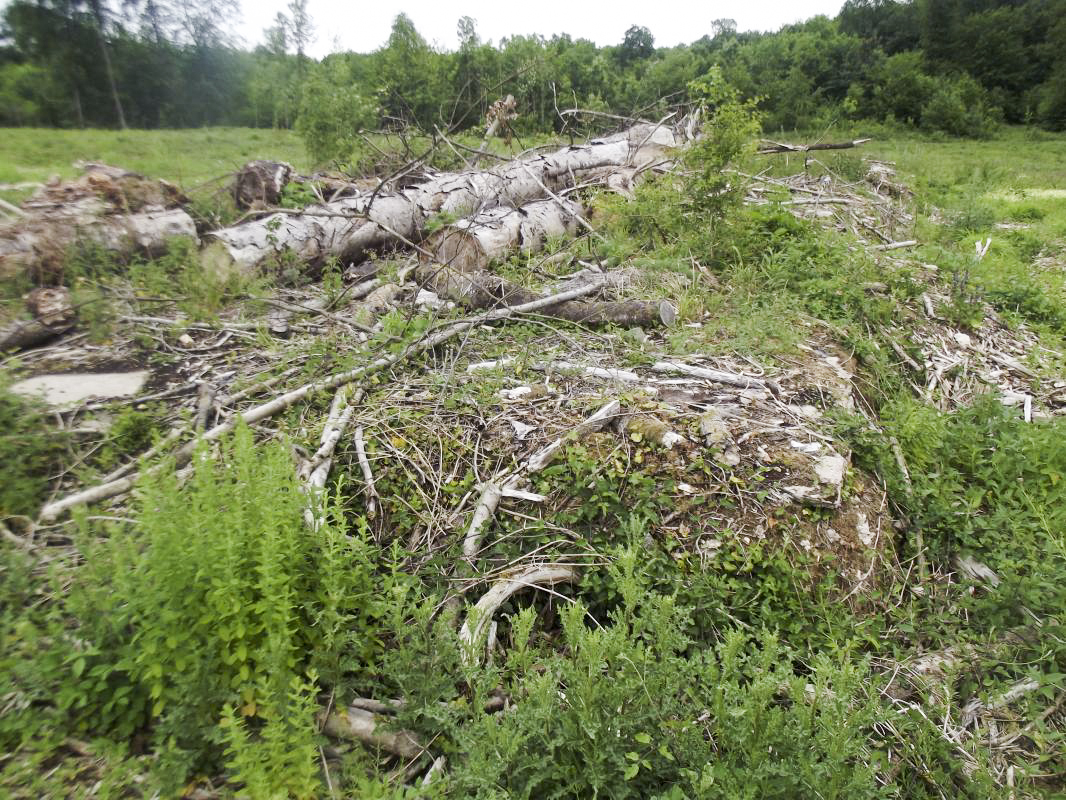 Ligne Maginot - BOIS LE SART - (Casernement) - Fondations  des baraquements en dur 