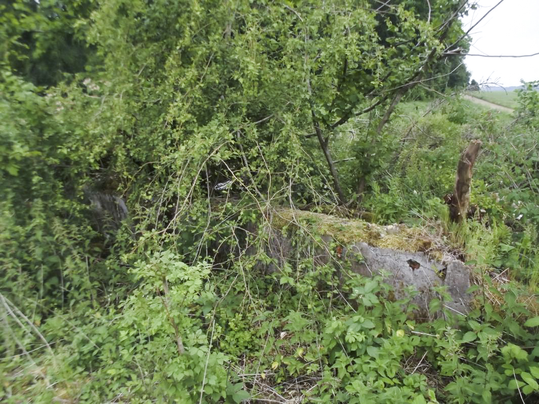 Ligne Maginot - BOIS LE SART - (Casernement) - Ruine non identifiée 