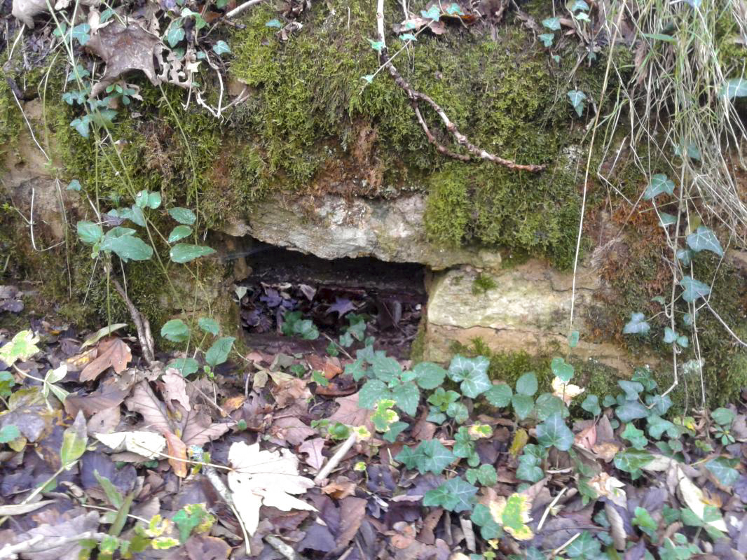 Ligne Maginot - BOIS LE SART - (Abri) - Abri Sud. 
Vue extérieure de la fenêtre/embrasure.