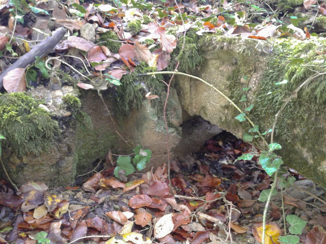 Ligne Maginot - BOIS MAROTTE NORD - (Abri) - Ancien abri (Ouest).
Éléments en béton et empreintes de tôles métro laissées dans le béton.