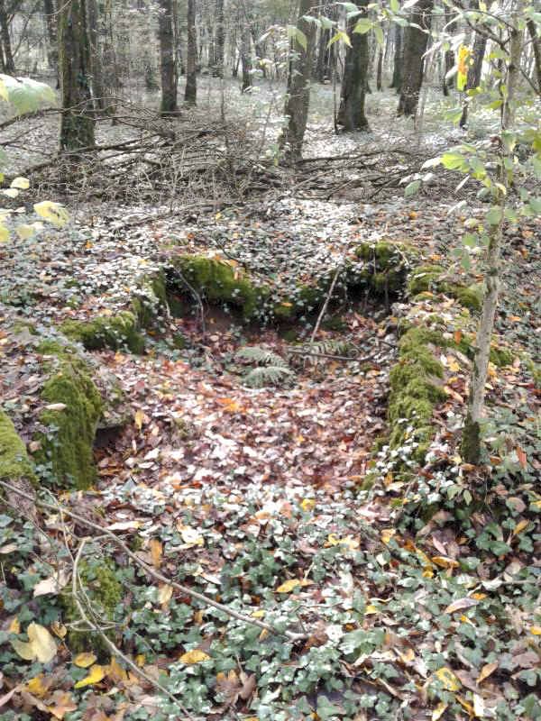 Ligne Maginot - BOIS MAROTTE NORD - (Abri) - Ancien abri (Est).
Eléments en maçonnerie, fers à béton de récupération et empreintes de tôles métro laissées dans le béton.