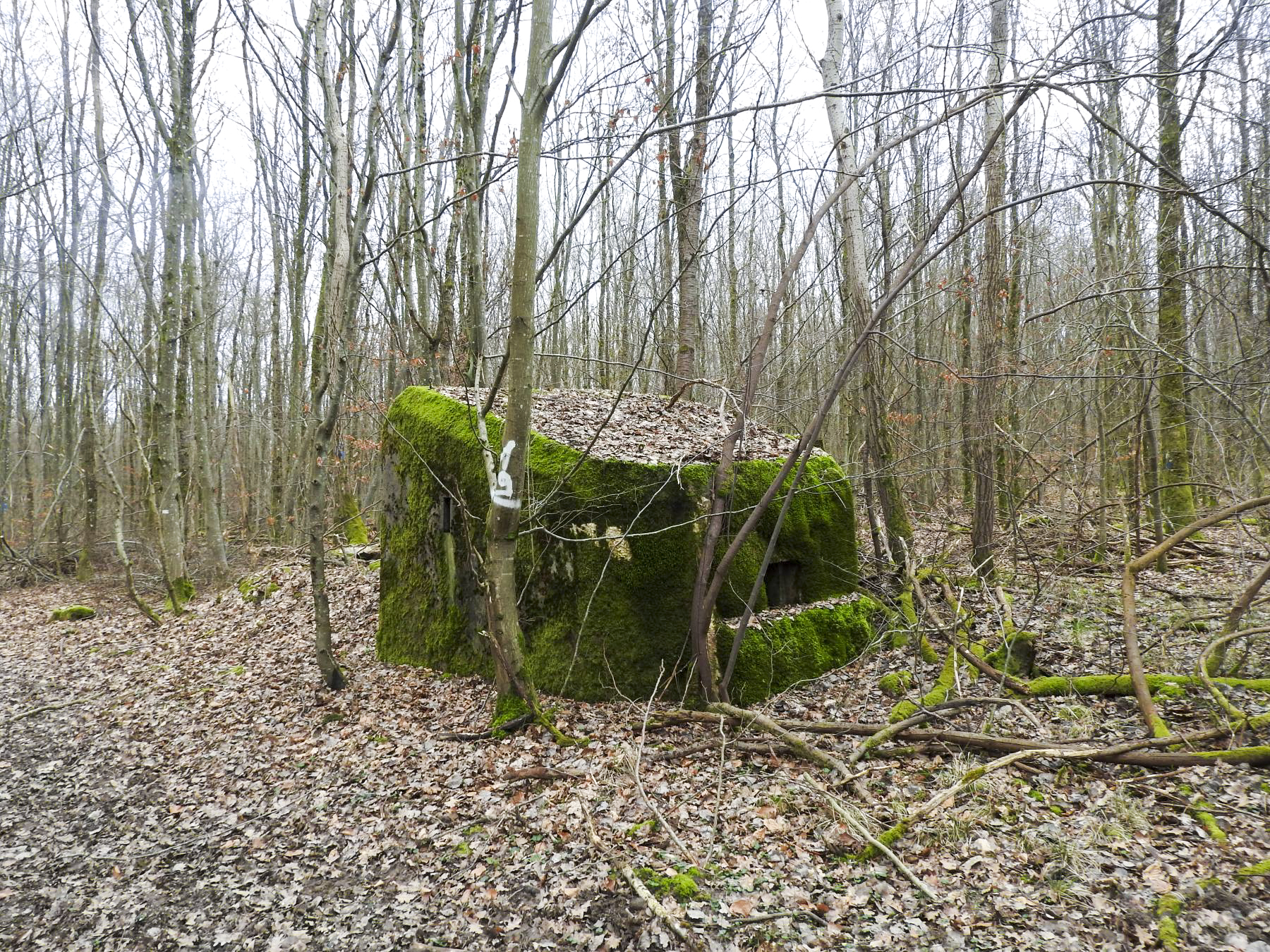 Ligne Maginot - SCHEIDWALD 2 - (Blockhaus pour arme infanterie) - La façade de tir et le créneau principal.