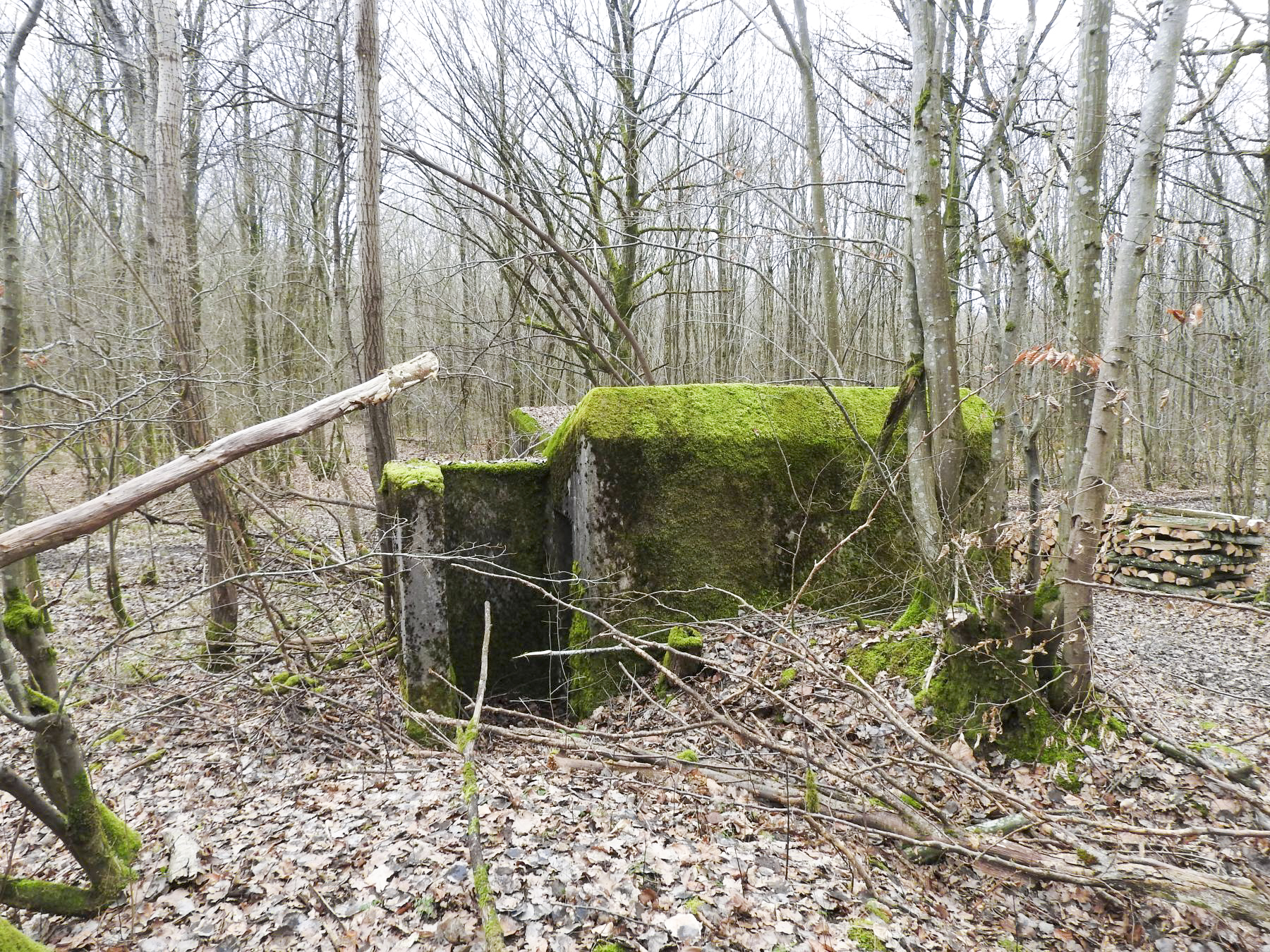 Ligne Maginot - SCHEIDWALD 2 - (Blockhaus pour arme infanterie) - La façade arrière avec l'entrée.