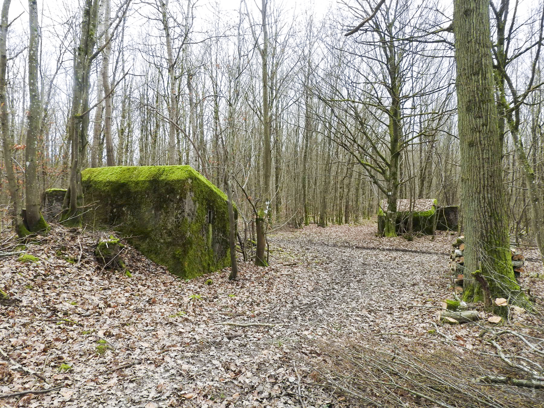 Ligne Maginot - SCHEIDWALD 2 - (Blockhaus pour arme infanterie) - Les blockhaus 2 à l'avant et 1 à l'arrière.