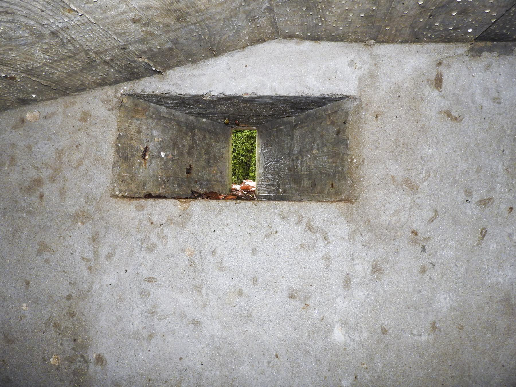 Ligne Maginot - SCHEIDWALD 3 - (Blockhaus pour arme infanterie) - Le créneau pour fusil latéral.