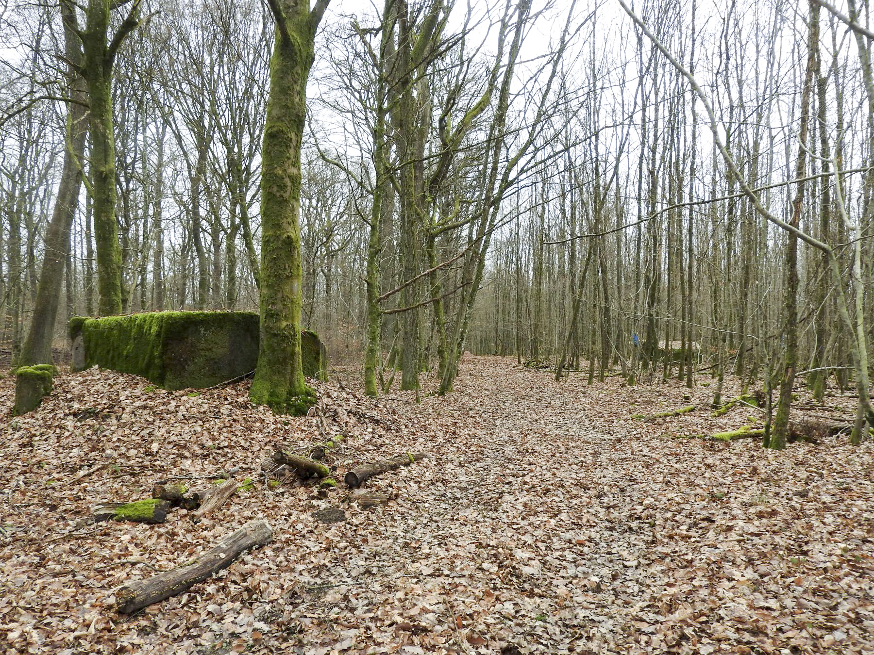 Ligne Maginot - SCHEIDWALD 3 - (Blockhaus pour arme infanterie) - Les blockhaus 3 et 4.