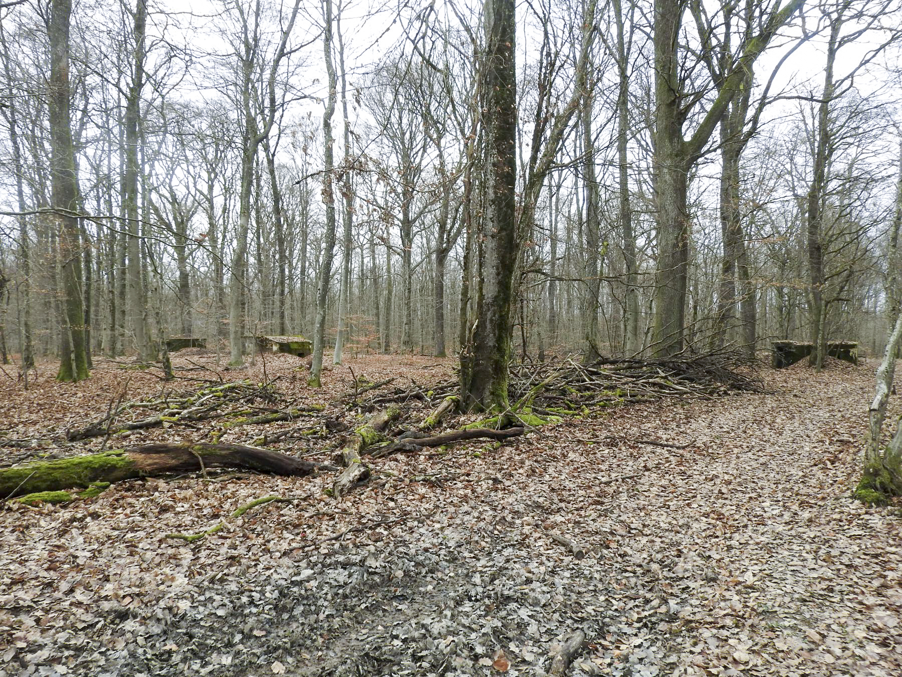 Ligne Maginot - SCHEIDWALD 5 - (Blockhaus pour arme infanterie) - De gauche à droite les blockhaus 7, 6 et 5.