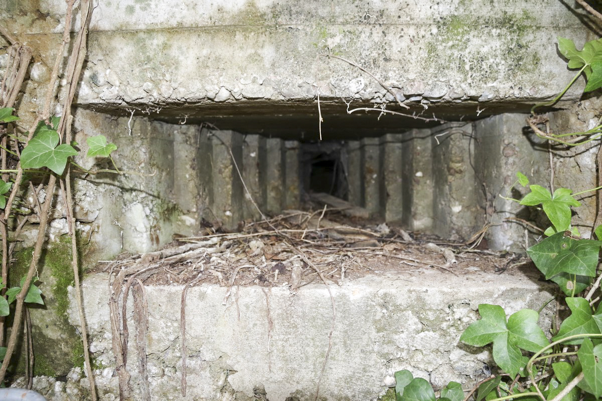 Ligne Maginot - WEIDESHEIM 4 - (Blockhaus pour arme infanterie) - Le créneau