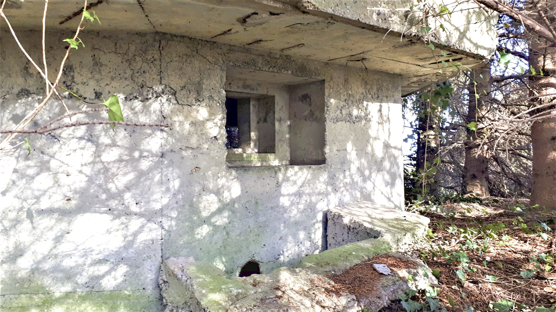 Ligne Maginot - 18 - MOULIN DE LA WANTZENAU - (Blockhaus pour arme infanterie) - Créneau Sud-Ouest du blockhaus