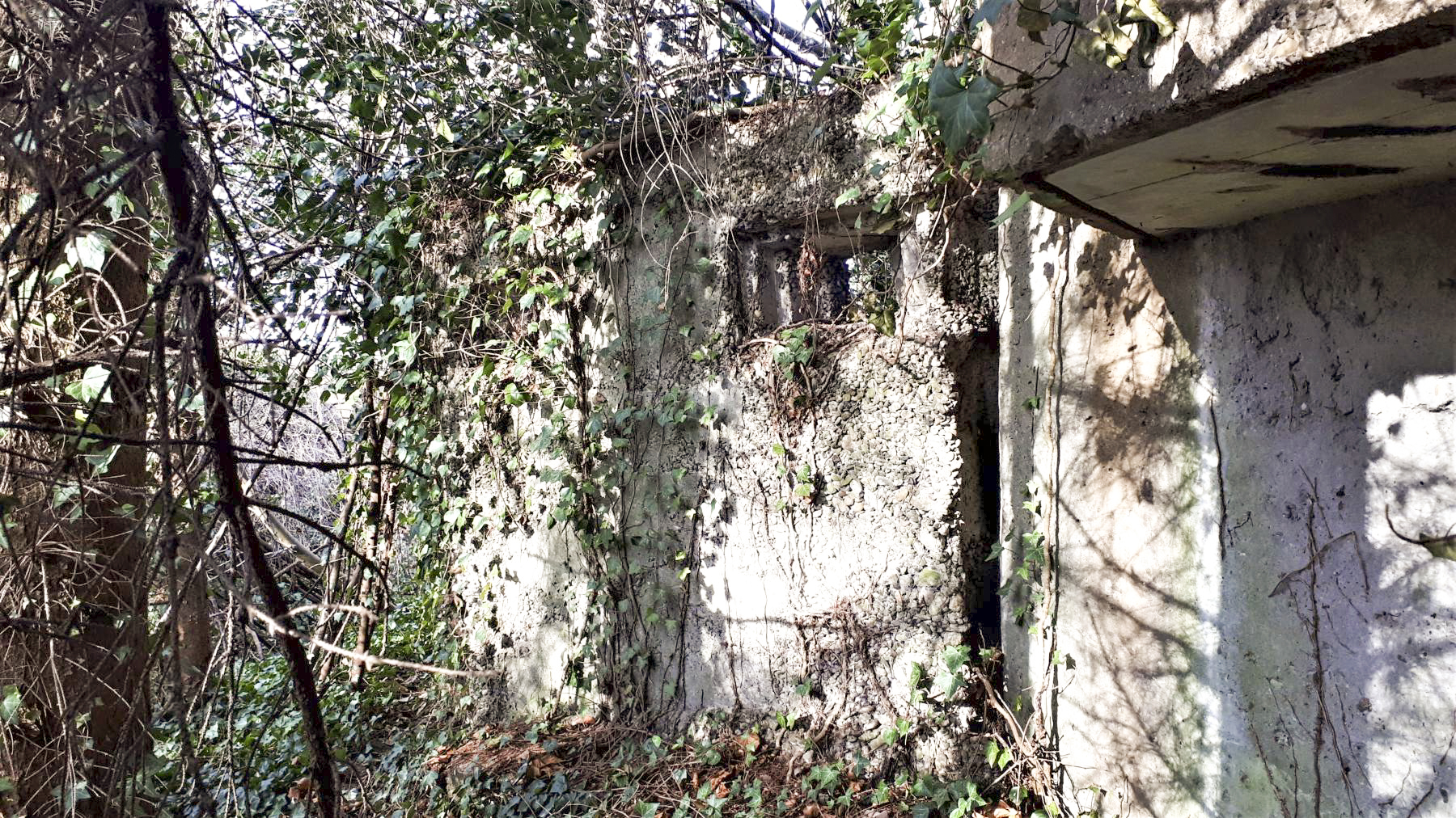 Ligne Maginot - 18 - MOULIN DE LA WANTZENAU - (Blockhaus pour arme infanterie) - Créneaux de l'extension à ciel ouvert