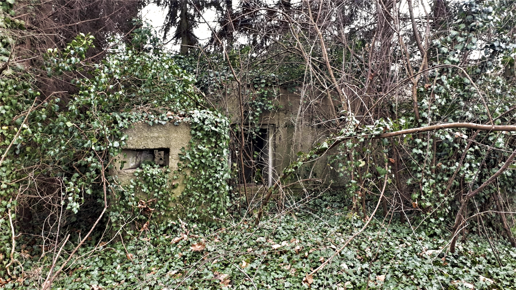 Ligne Maginot - 18 - MOULIN DE LA WANTZENAU - (Blockhaus pour arme infanterie) - L'extension à ciel ouvert protégeant l'entrée du blockhaus