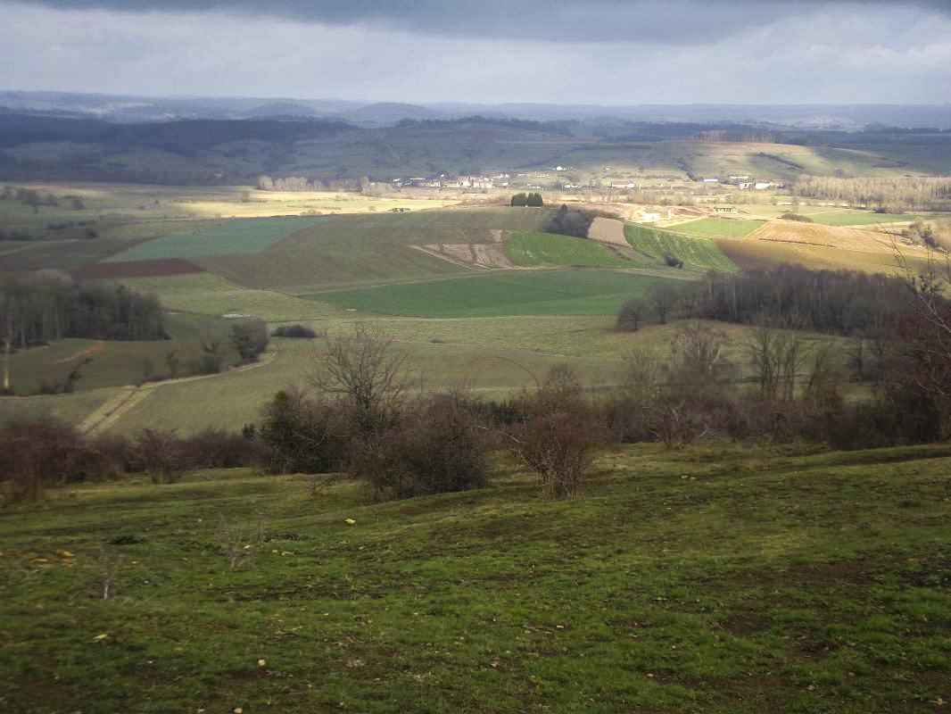 Ligne Maginot - CÔTE 311 - (Observatoire d'infanterie) - Vue vers l'ouvrage de La Ferté ; 
on comprend l'intérêt des allemands pour la colline