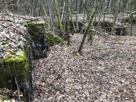 Ligne Maginot - Ab38 - BOIS de LAUDREFANG 6 (Blockhaus pour canon) - Au premier plan à gauche, le blockhaus. En arrière plan, la casemate BOIS de LAUDREFANG Sud