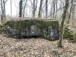 Ligne Maginot - Ab38 - BOIS de LAUDREFANG 6 (Blockhaus pour canon) - 