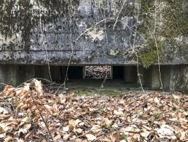 Ligne Maginot - Ab38 - BOIS de LAUDREFANG 6 (Blockhaus pour canon) - 