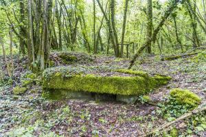 Ligne Maginot - LA RAMONETTE - (Observatoire d'infanterie) - 