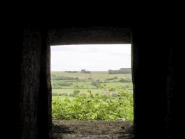 Ligne Maginot - MY9 - (Blockhaus lourd type STG / STG-FCR - Simple) - Vue vers l'est, la route Avioth-Montmedy