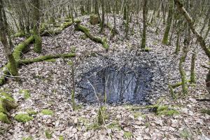 Ligne Maginot - MITTELSWALD (CM5/II/82° RMIF - SOUS-QUARTIER BOIS-HACHETTE) - (PC de Sous-Quartier) - Emplacements de cagnas à proximité
