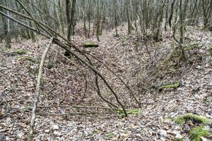 Ligne Maginot - MITTELSWALD (CM5/II/82° RMIF - SOUS-QUARTIER BOIS-HACHETTE) - (PC de Sous-Quartier) - Emplacements de cagnas à proximité
