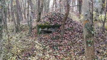 Ligne Maginot - BOIS DE DURRENENTZEN - (Dépôt de Munitions) - La deuxième guérite d'observation en béton