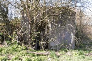 Ligne Maginot - MB14 - (Blockhaus pour canon) - L'entrée barrée par un buisson épineux... 