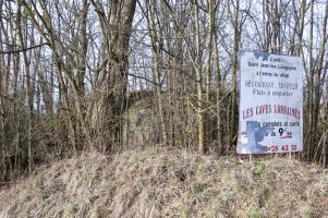 Ligne Maginot - MB29 - (Blockhaus pour arme infanterie) - En bordure de la route ce petit ouvrage disparait dans la végétation...