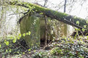 Ligne Maginot - MBA1 - (Blockhaus pour arme infanterie) - Face arrière   