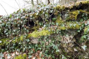 Ligne Maginot - MBO5 - (Blockhaus pour canon) - Detail du toit, les rondins sont pourris