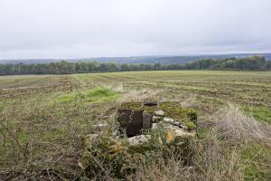 Ligne Maginot - MO4 - LA GRAVETTE - COTE 317 - (Observatoire d'artillerie) - Vue arrière de l'observatoire et de son champ d'observation : la vallée de la Chiers derrière le rideau d'arbres et la Belgique à l'horizon