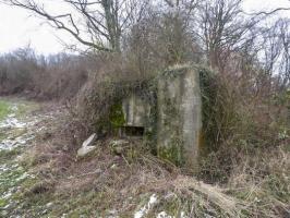 Ligne Maginot - CB164 - THEILBUSCH - (Blockhaus pour canon) - 