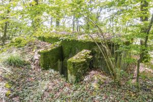 Ligne Maginot - AB39 - BAMBESCH SUD 3 - (Blockhaus pour arme infanterie) - L'entrée