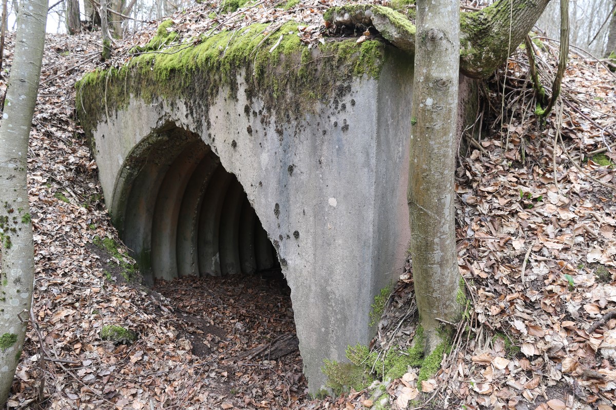 Ligne Maginot - MITTELSWALD (CM5/II/82° RMIF - SOUS-QUARTIER BOIS-HACHETTE) - (PC de Sous-Quartier) - L'unique abri trouvé