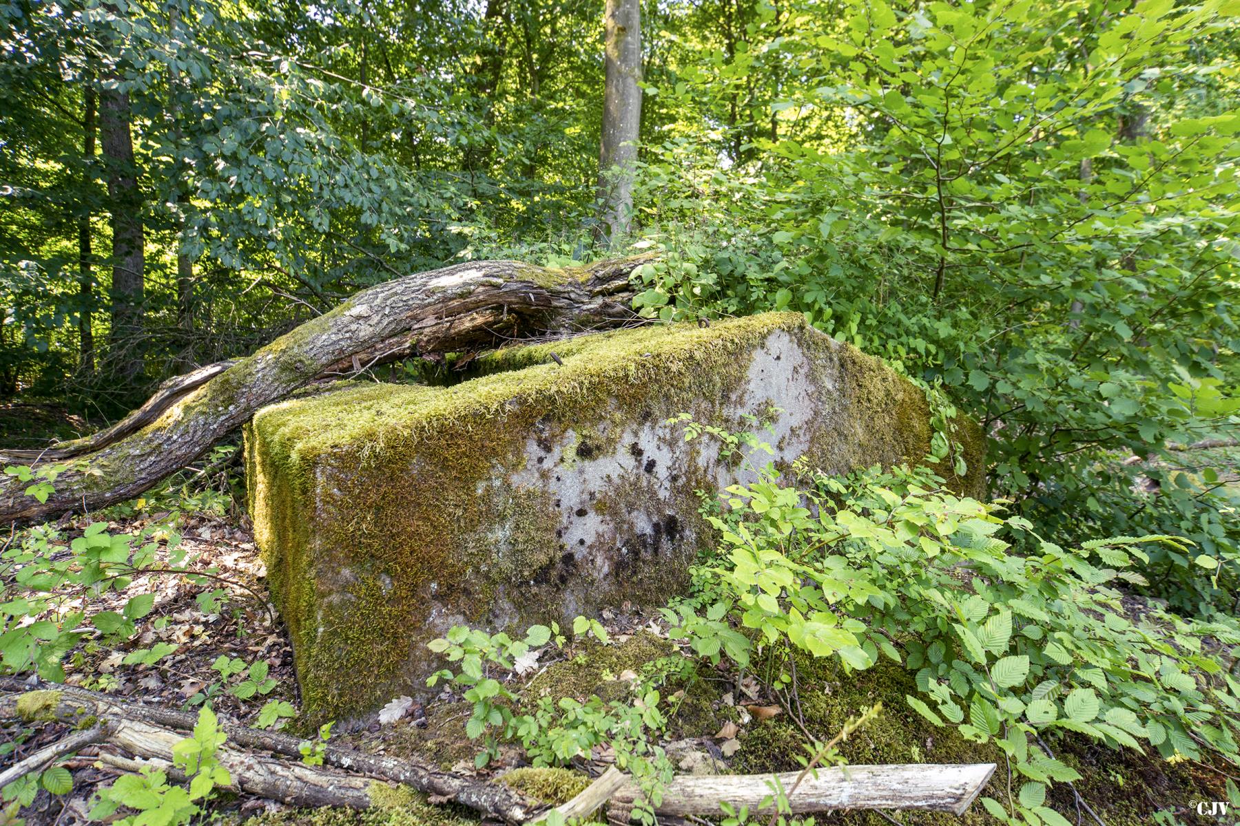 Ligne Maginot - SCHIRMENSTUDEN 7 - (Blockhaus pour arme infanterie) -                              