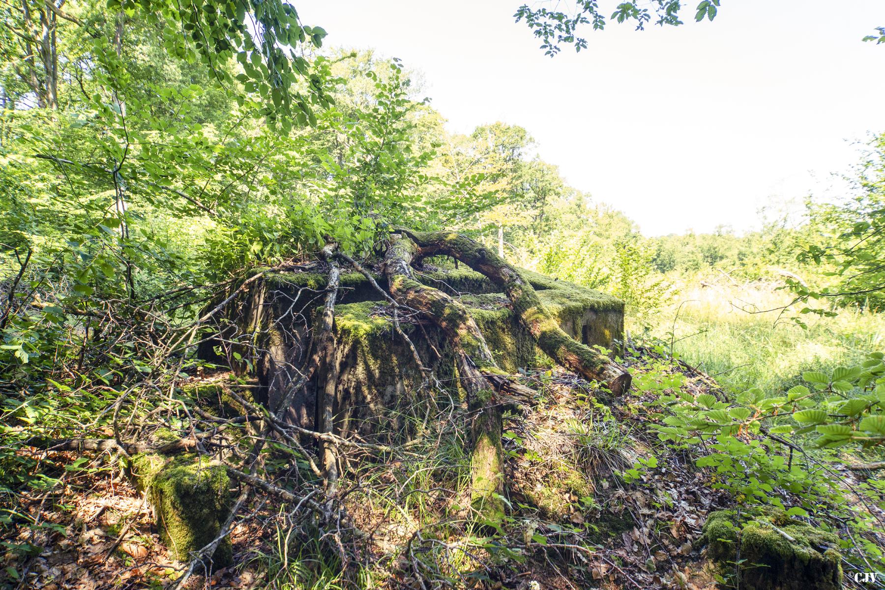 Ligne Maginot - SCHIRMENSTUDEN 7 - (Blockhaus pour arme infanterie) -                             