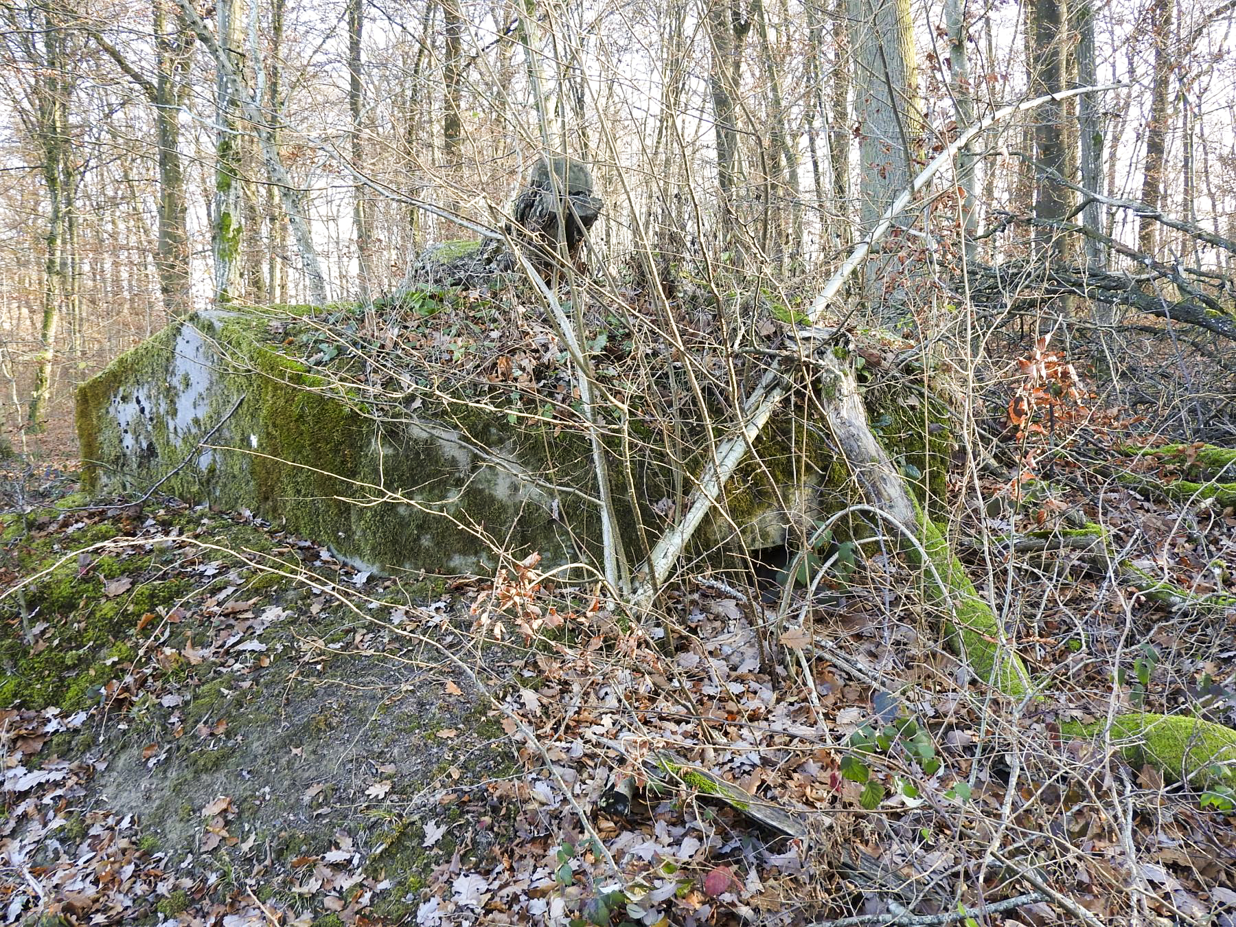 Ligne Maginot - SCHIRMENSTUDEN 7 - (Blockhaus pour arme infanterie) - La façade de tir.