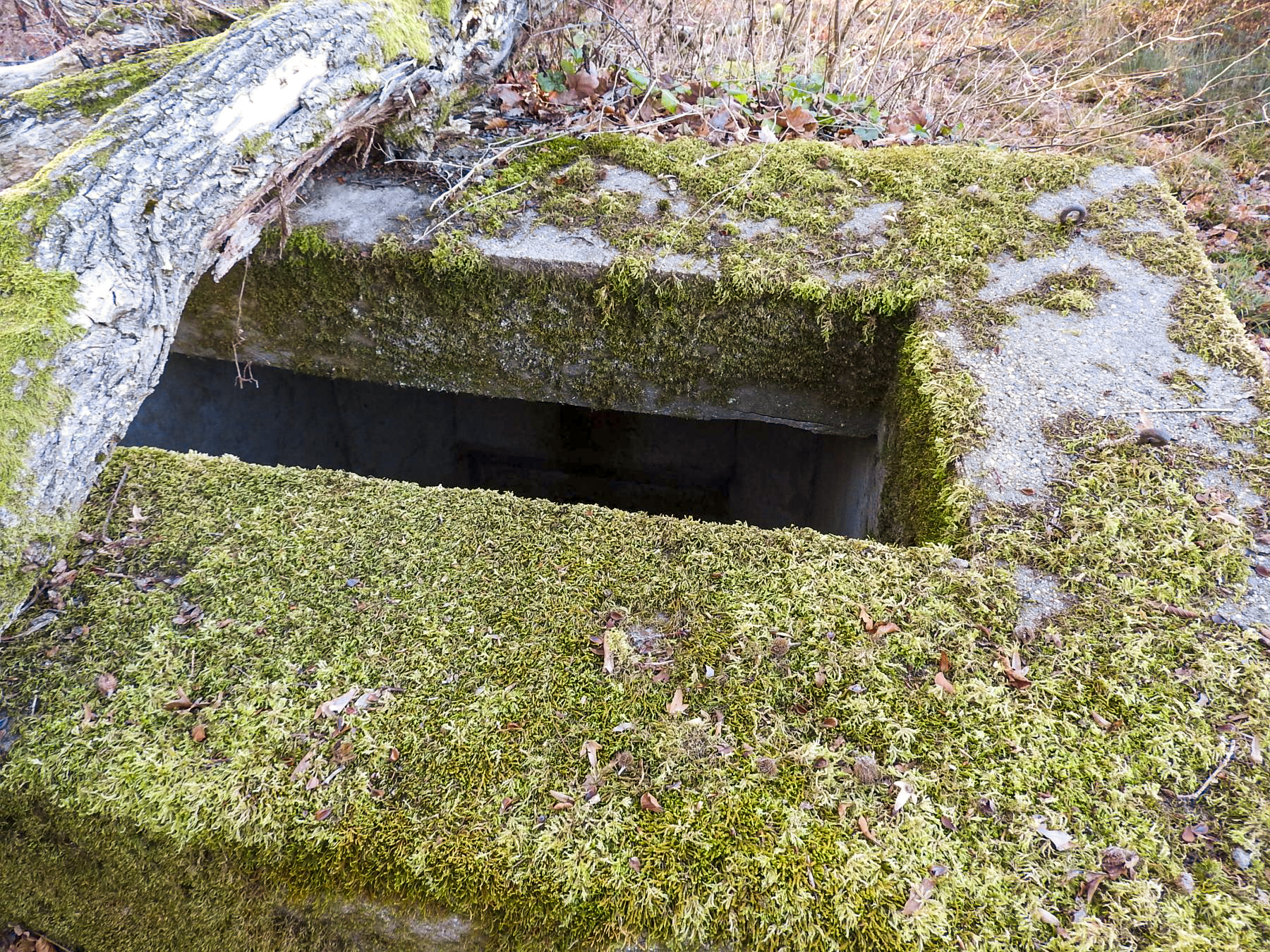 Ligne Maginot - SCHIRMENSTUDEN 7 - (Blockhaus pour arme infanterie) - 