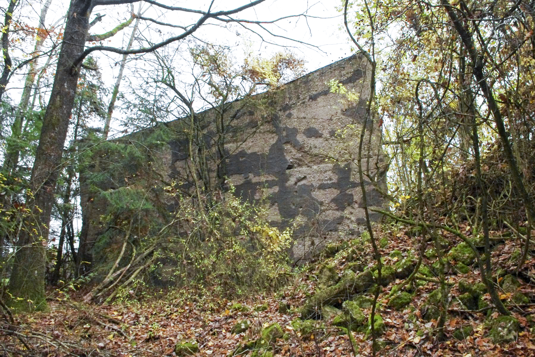 Ligne Maginot - LEYVILLER - (Stand de tir) - Le mur de réception des tirs est encore debout en partie.
2015