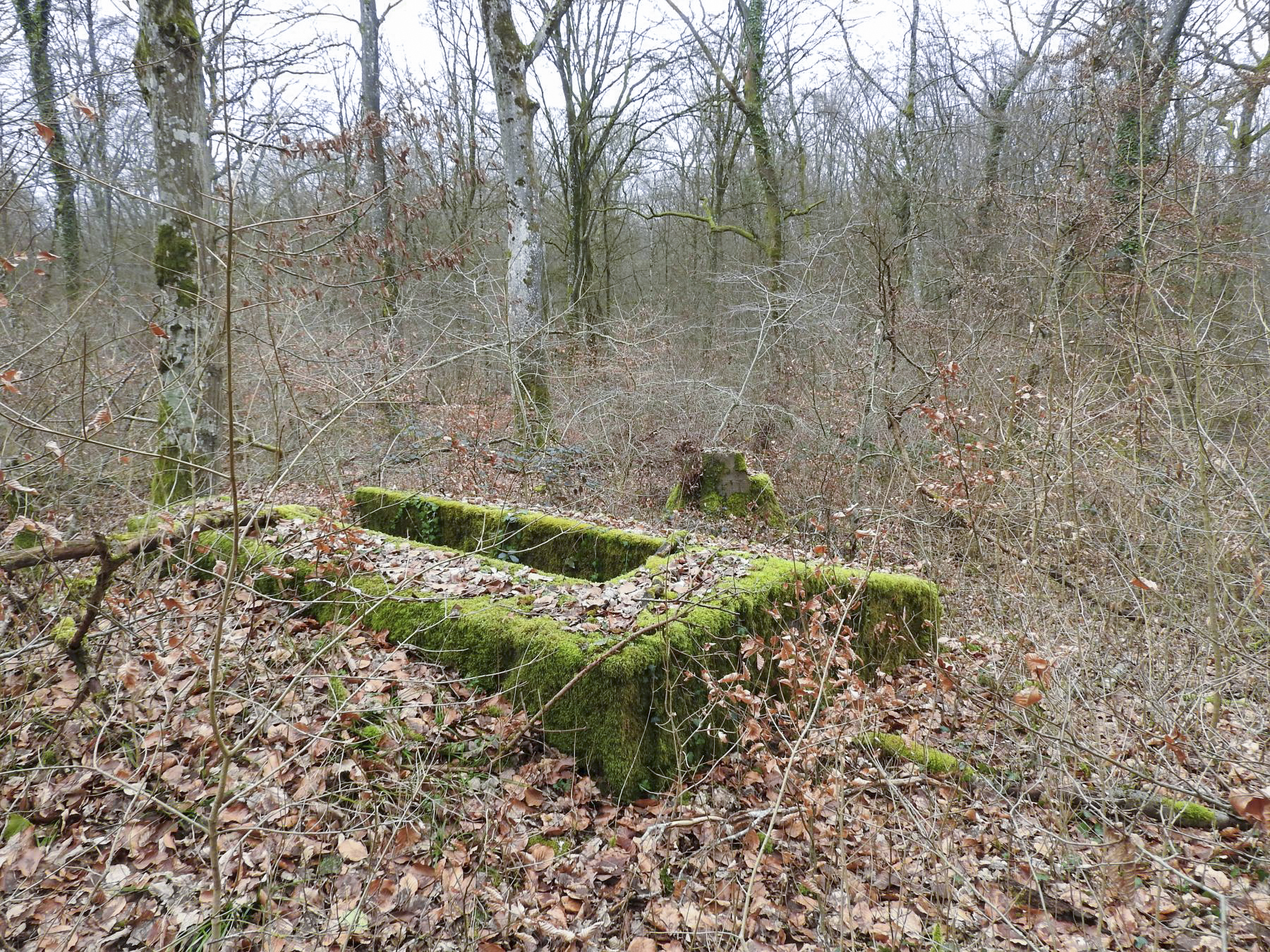 Ligne Maginot - SCHIRMENSTUDEN 11 - (Blockhaus pour arme infanterie) - La vue de l'arrière du blockhaus.