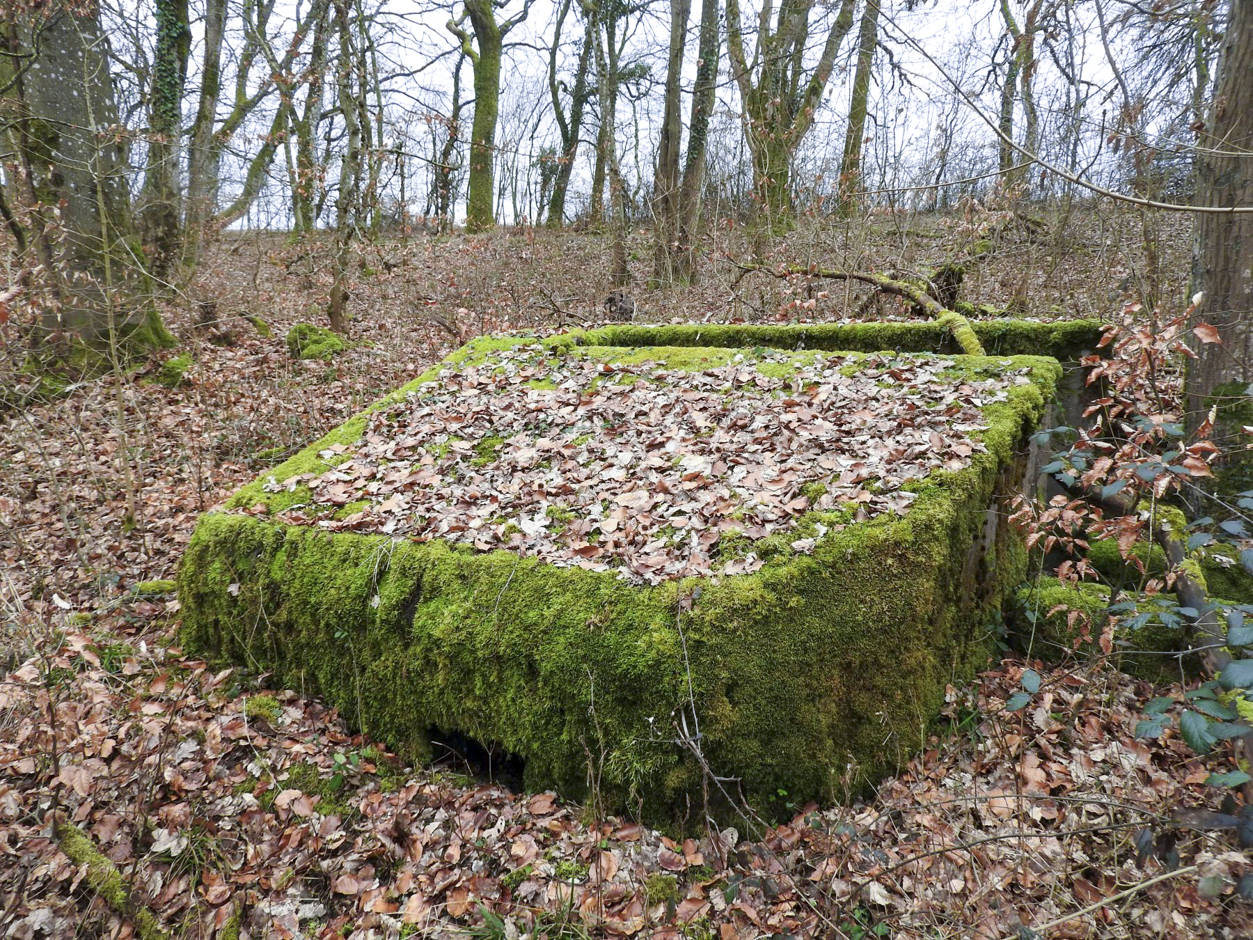 Ligne Maginot - SCHIRMENSTUDEN 11 - (Blockhaus pour arme infanterie) - La façade de tir vers le nord.