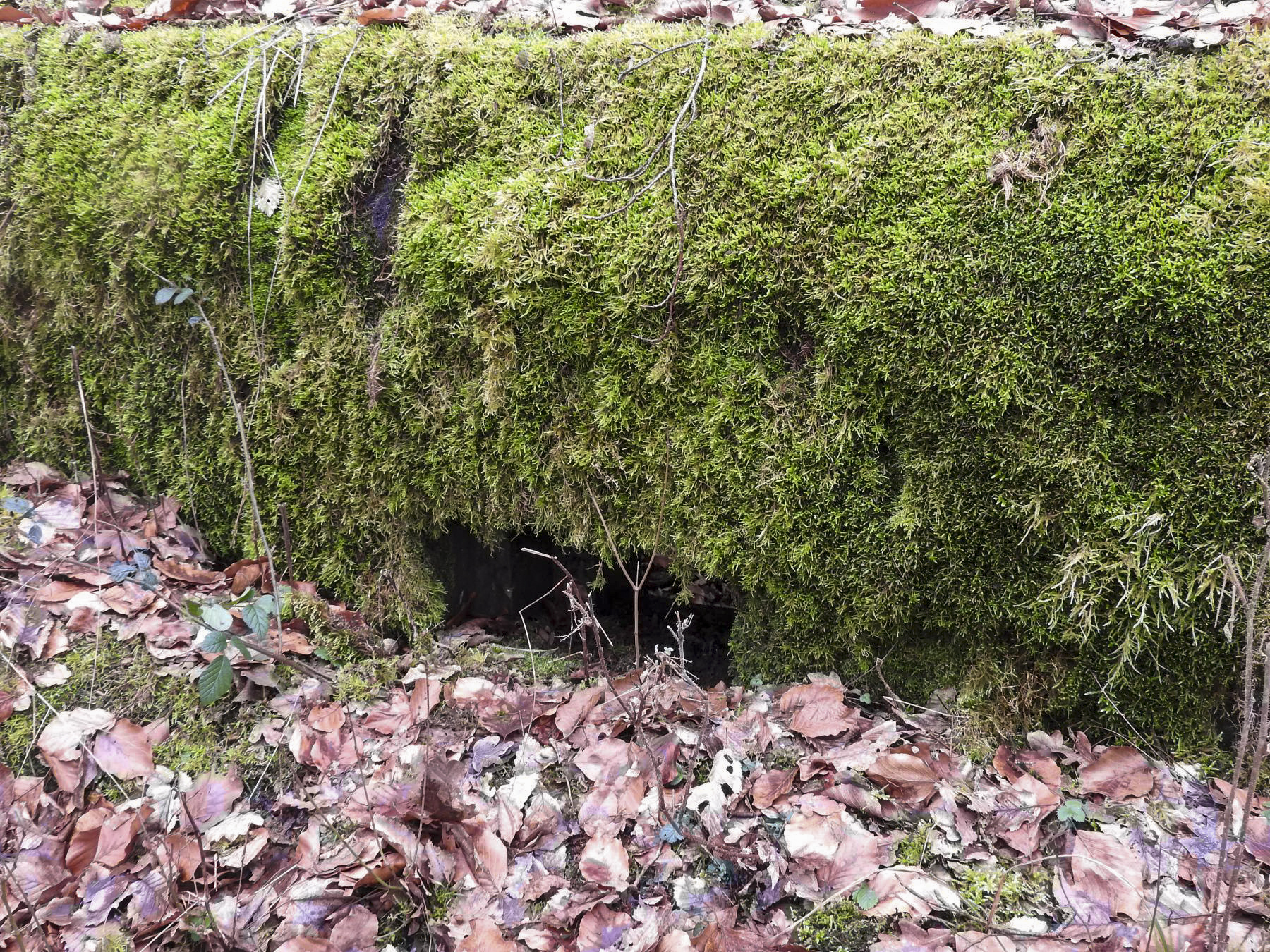 Ligne Maginot - SCHIRMENSTUDEN 11 - (Blockhaus pour arme infanterie) - Le créneau principal pour arme d'infanterie.