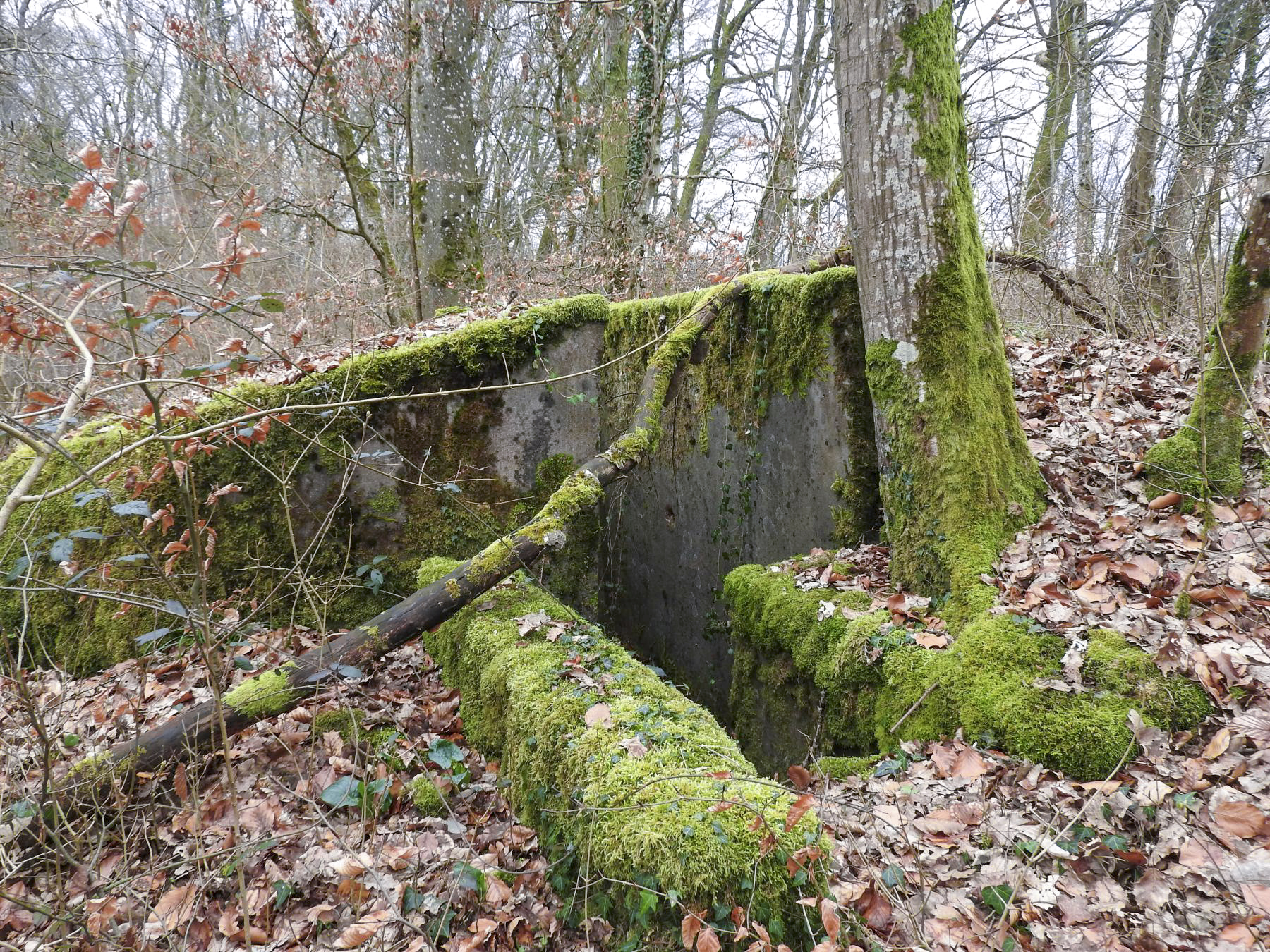 Ligne Maginot - SCHIRMENSTUDEN 11 - (Blockhaus pour arme infanterie) - L'entrée du blockhaus.