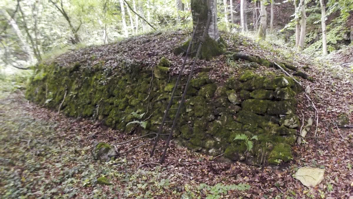 Ligne Maginot - LES FOLIES (IIE BON / 155° RIF) - (PC de Quartier) - Aménagement extérieur des chemins d'accès, avec une relique d'échelle métallique.