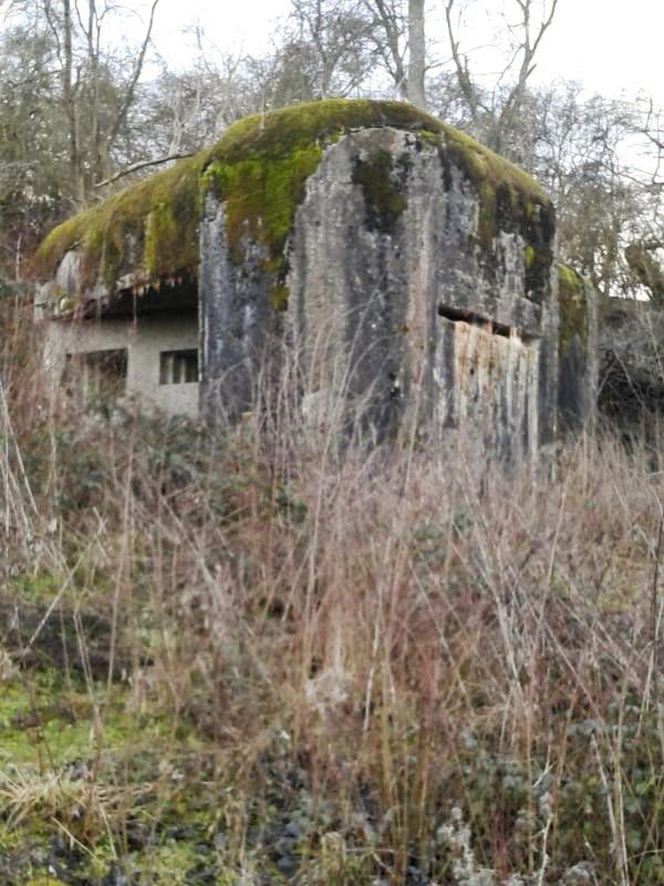 Ligne Maginot - MY3 - (Blockhaus lourd type STG / STG-FCR - Simple) - Vue générale