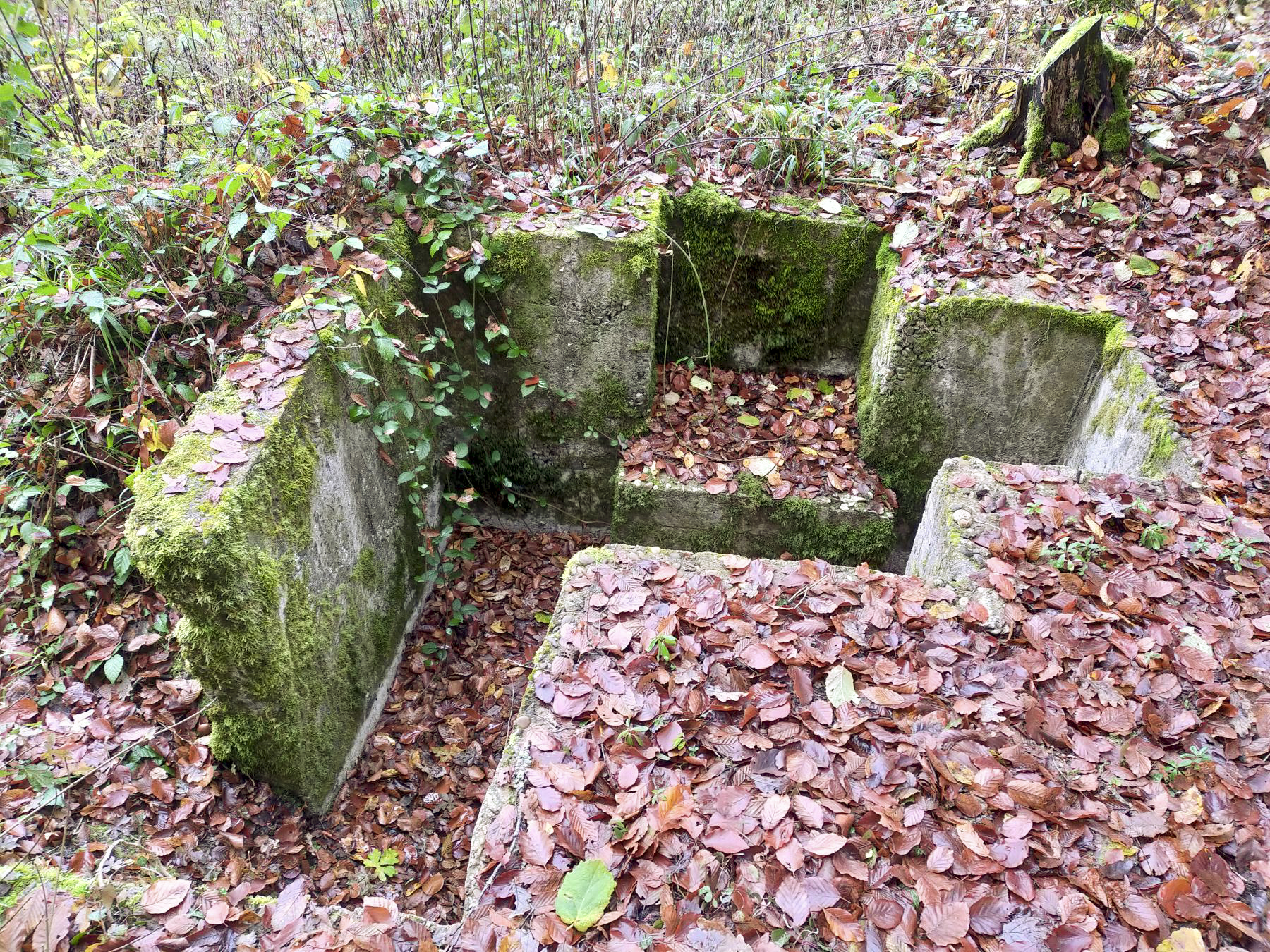 Ligne Maginot - HUBERBUSCH 1BIS - (Cuve pour arme d'infanterie) - Vue d'ensemble.