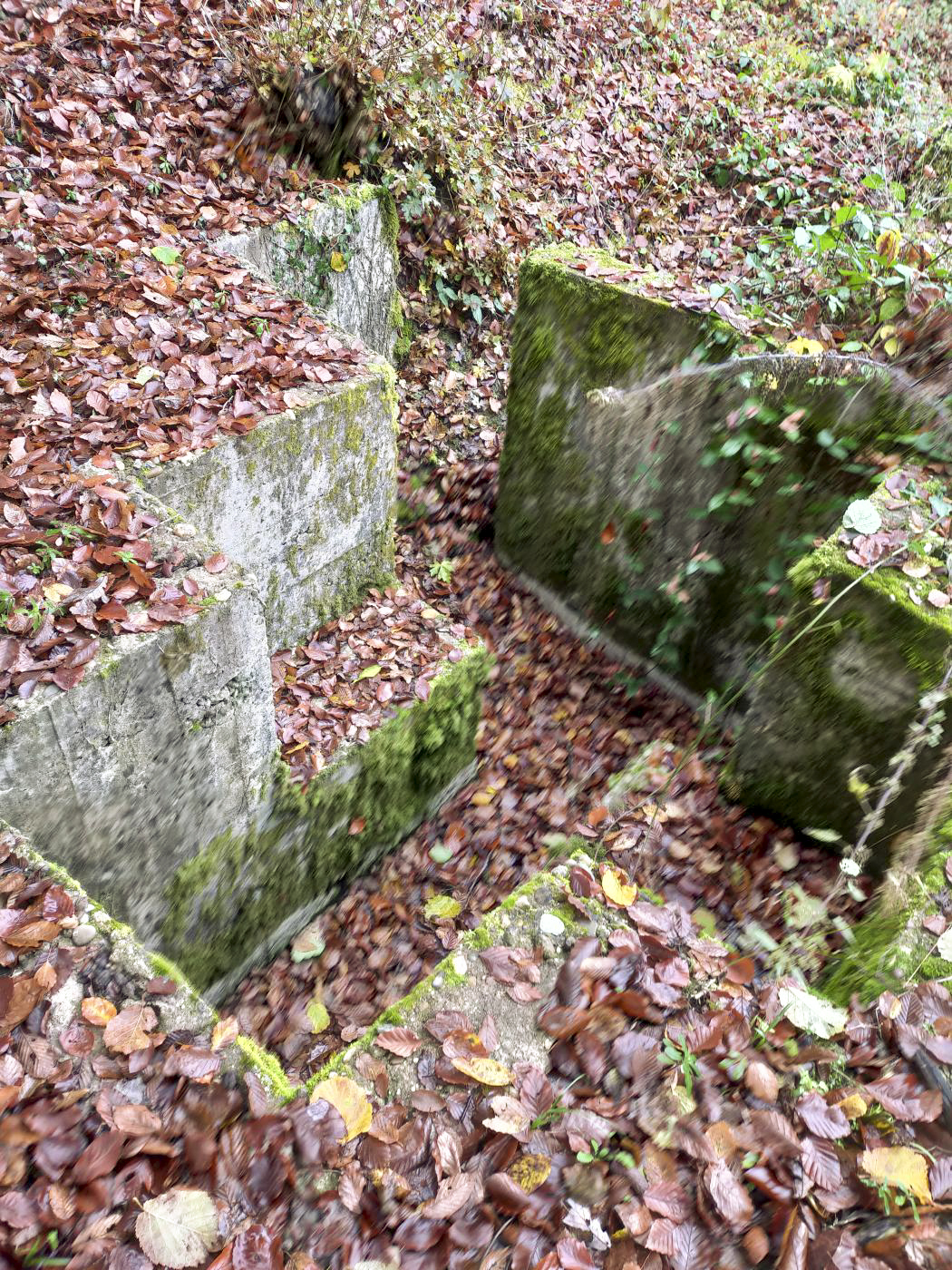 Ligne Maginot - HUBERBUSCH 1BIS - (Cuve pour arme d'infanterie) - Vue d'ensemble.