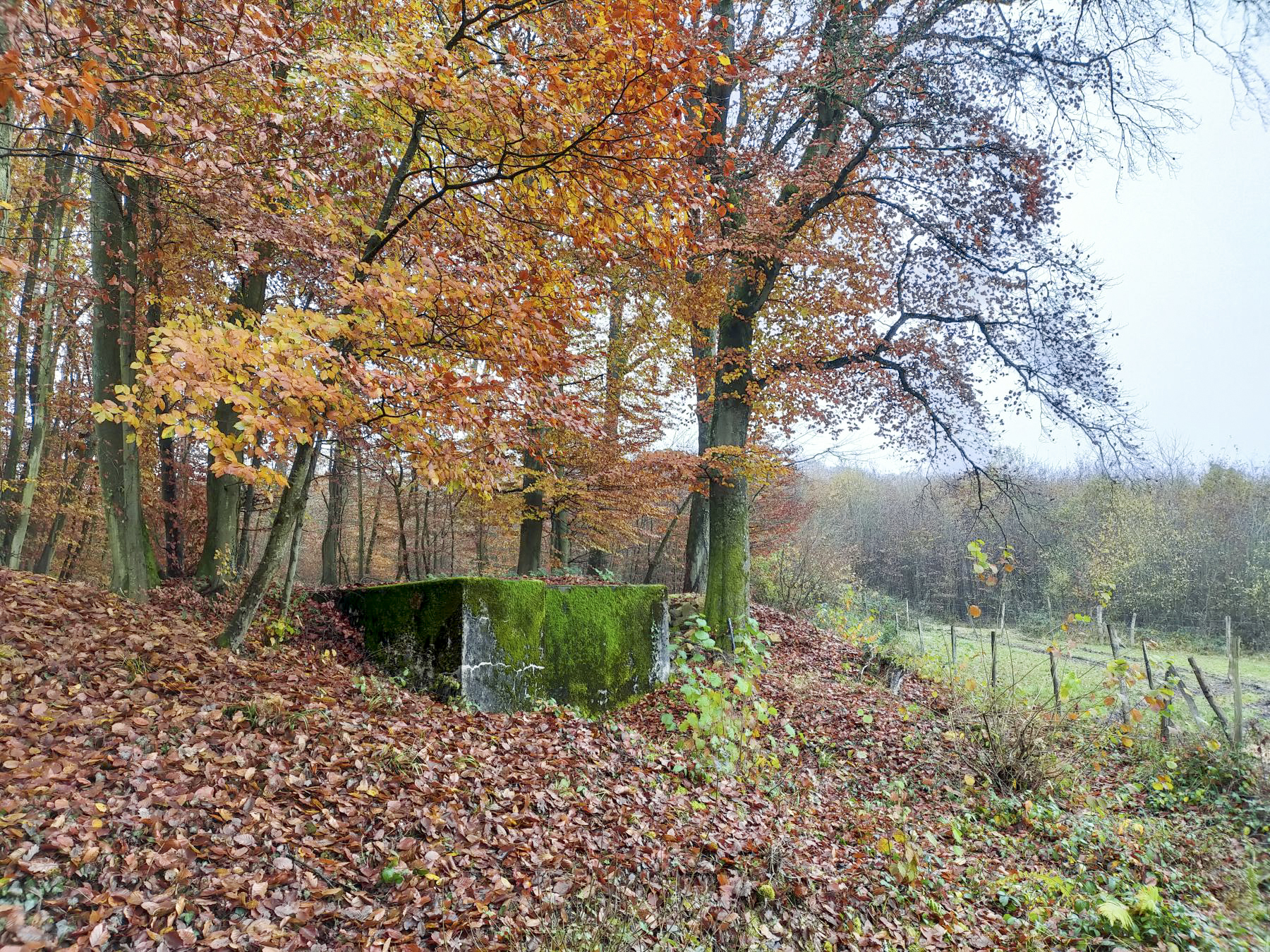 Ligne Maginot - HUBERBUSCH 1BIS - (Cuve pour arme d'infanterie) - Vue sur Huberbusch 1