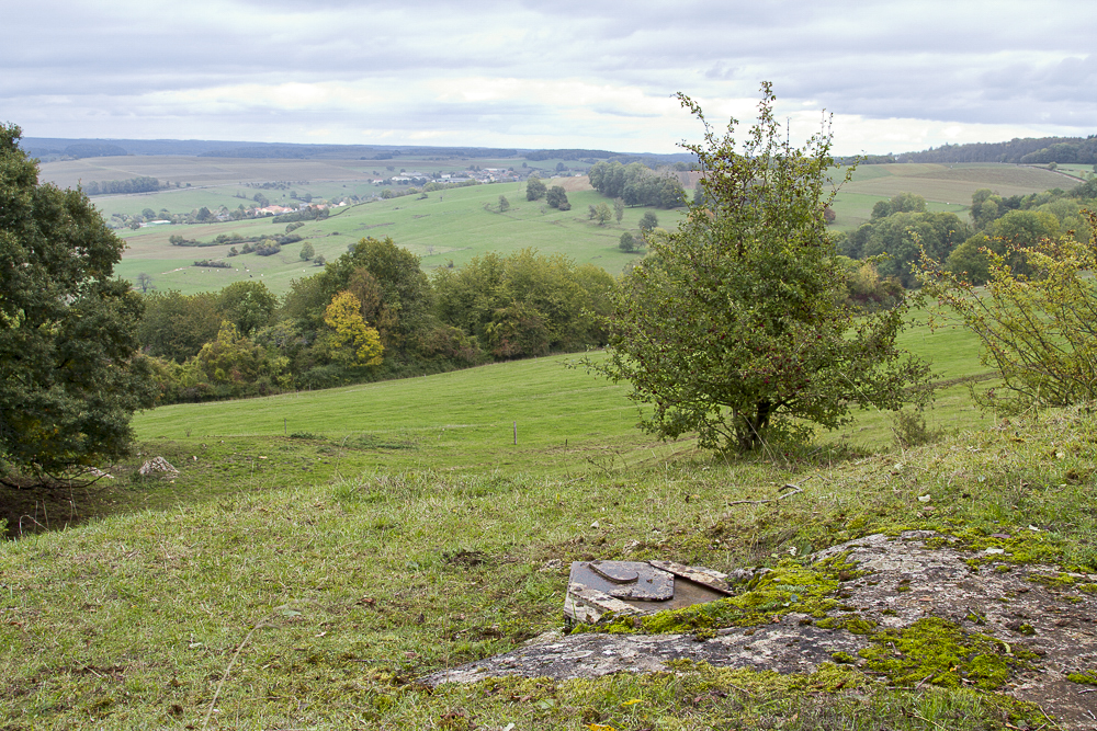 Ligne Maginot - SAINT WALFROY EST - (Observatoire d'infanterie) - Vue panoramique depuis l'observatoire